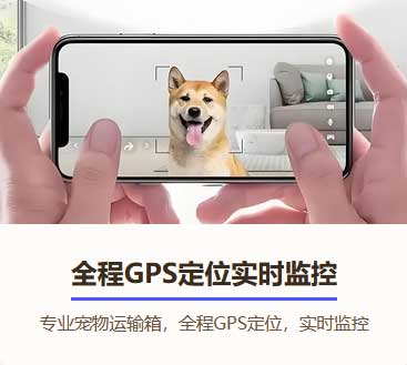 宠物空运费用是预付还是到付付款方式一次性讲清楚